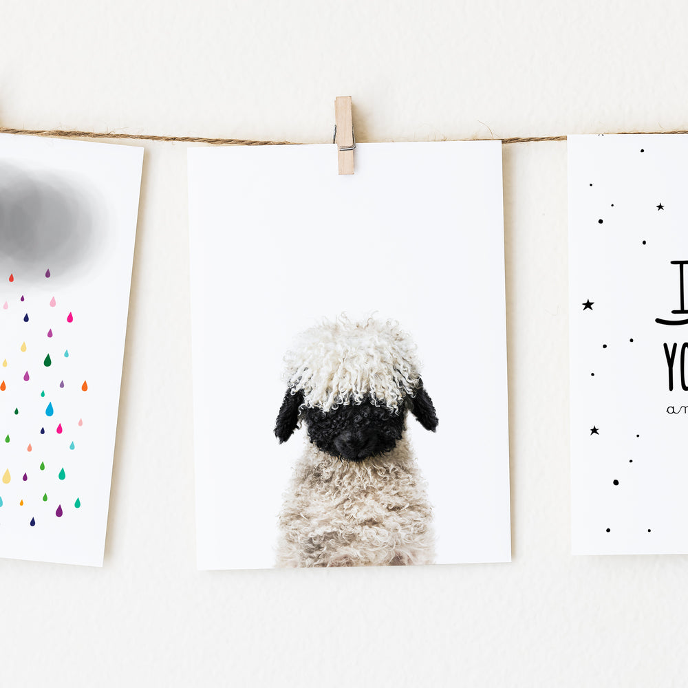 
                      
                        Baby Lamb Blacknose Wall Art Print
                      
                    