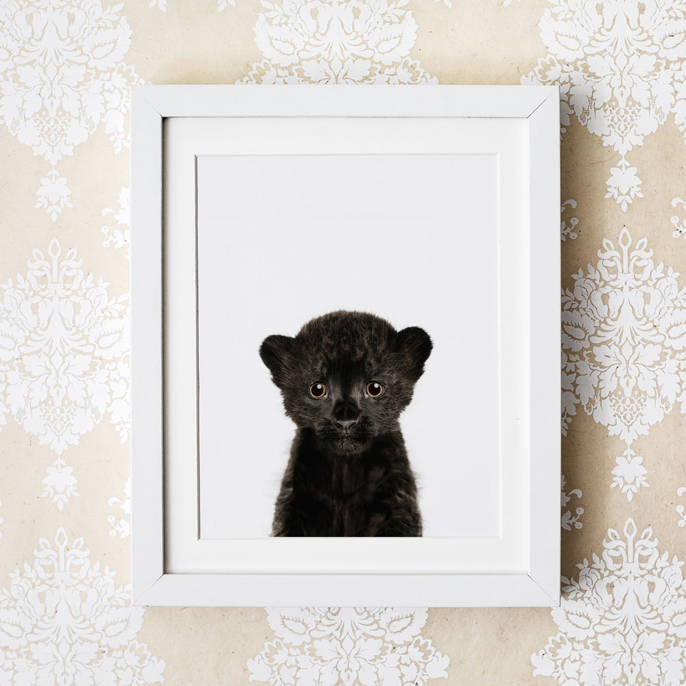 
                      
                        Baby Leopard Wall Art Print
                      
                    