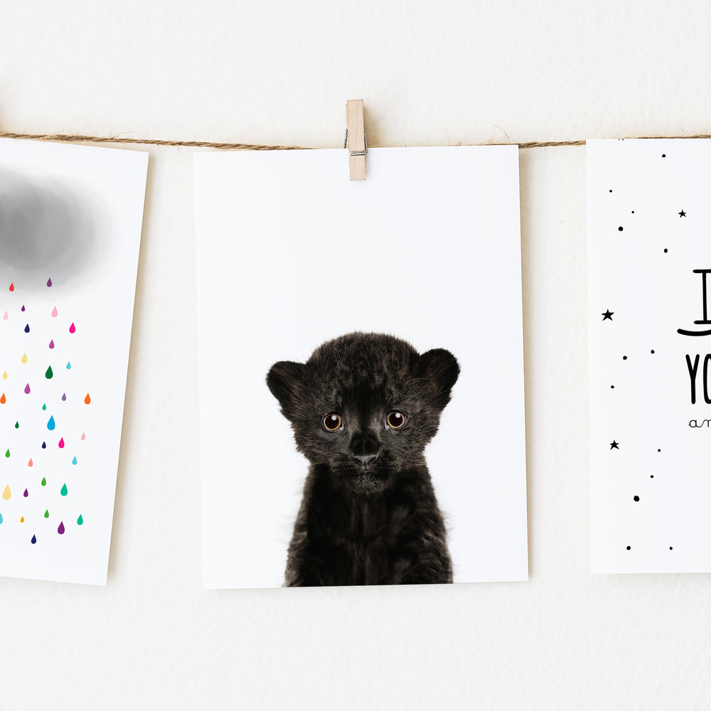 
                      
                        Baby Leopard Wall Art Print
                      
                    