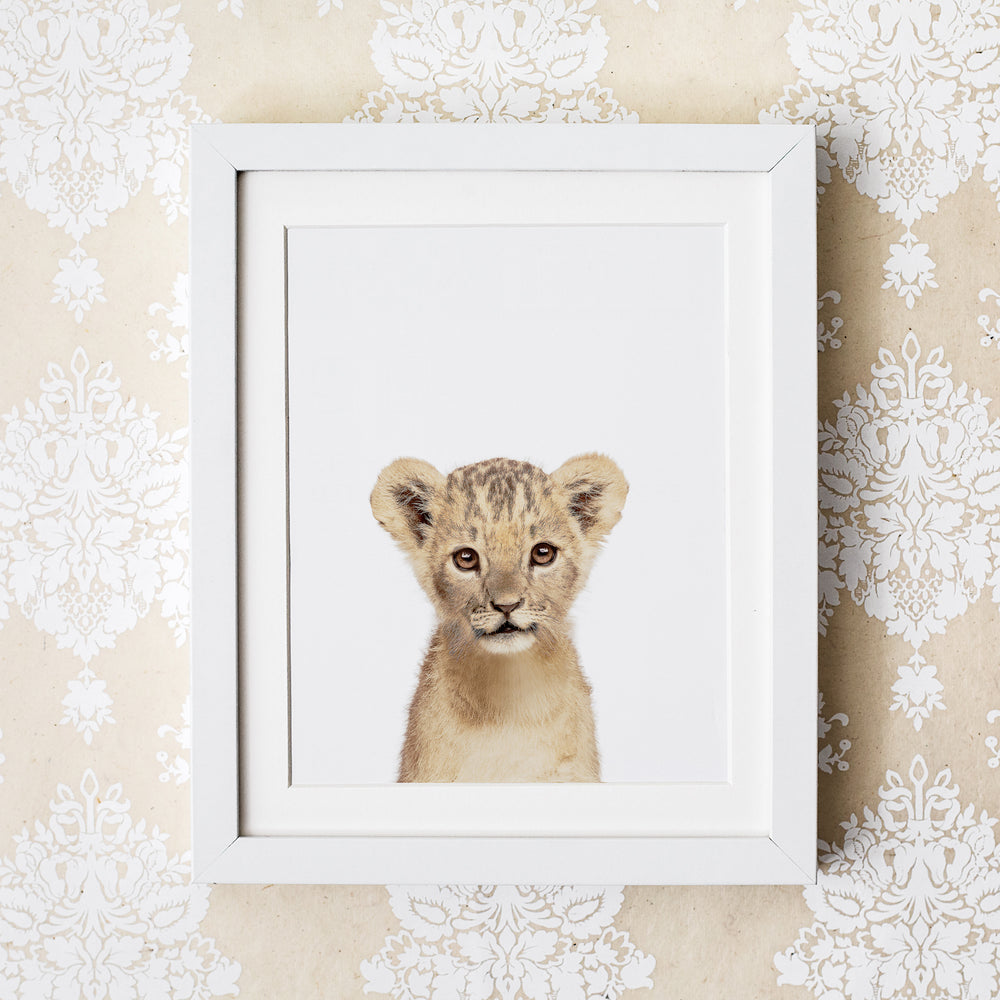 
                      
                        Baby Lion Print
                      
                    