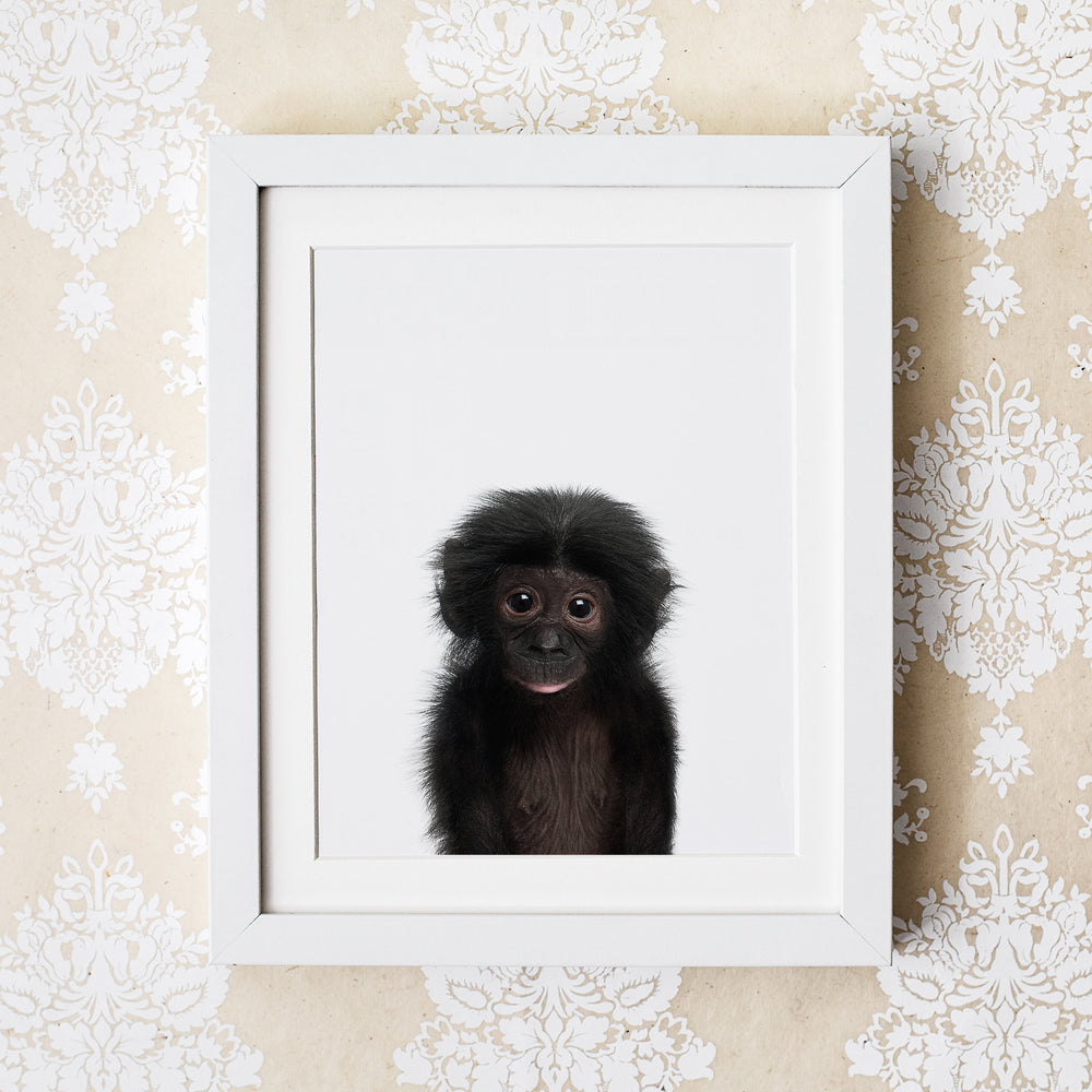 
                      
                        Baby Monkey Wall Art Print
                      
                    