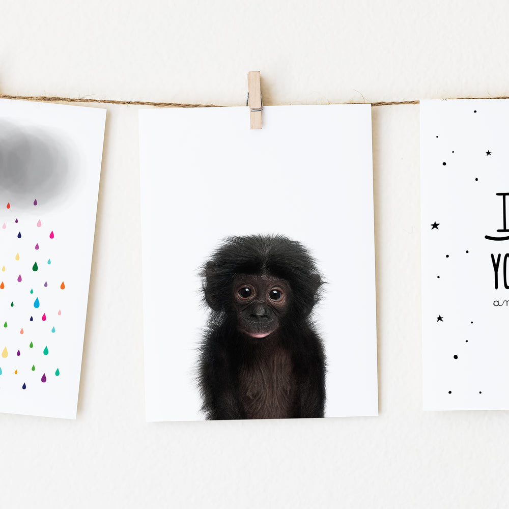 
                      
                        Baby Monkey Print
                      
                    