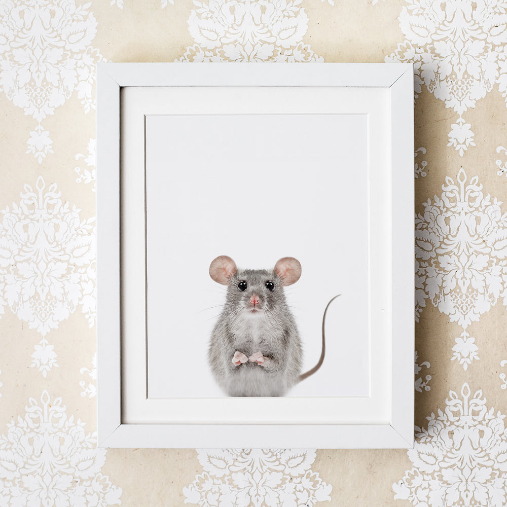 
                      
                        Baby Mouse Wall Art Print
                      
                    