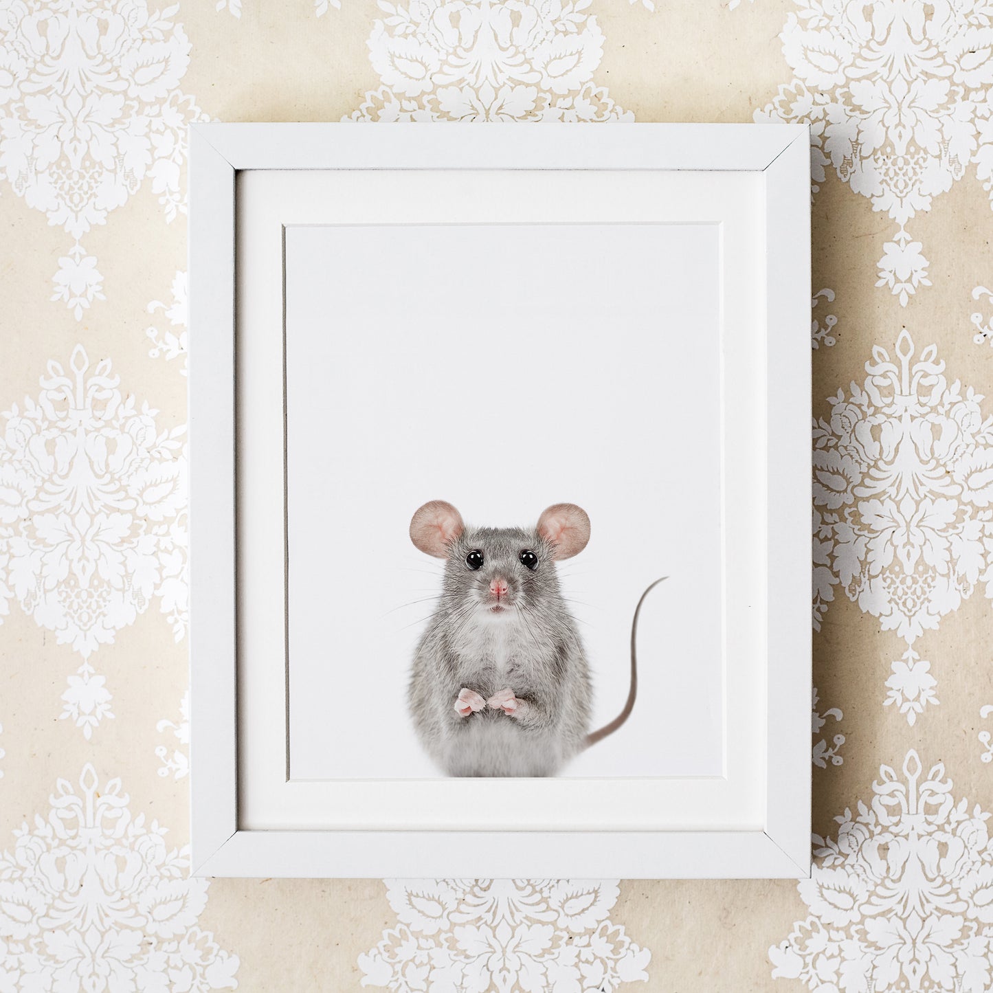 Baby Mouse Wall Art Print