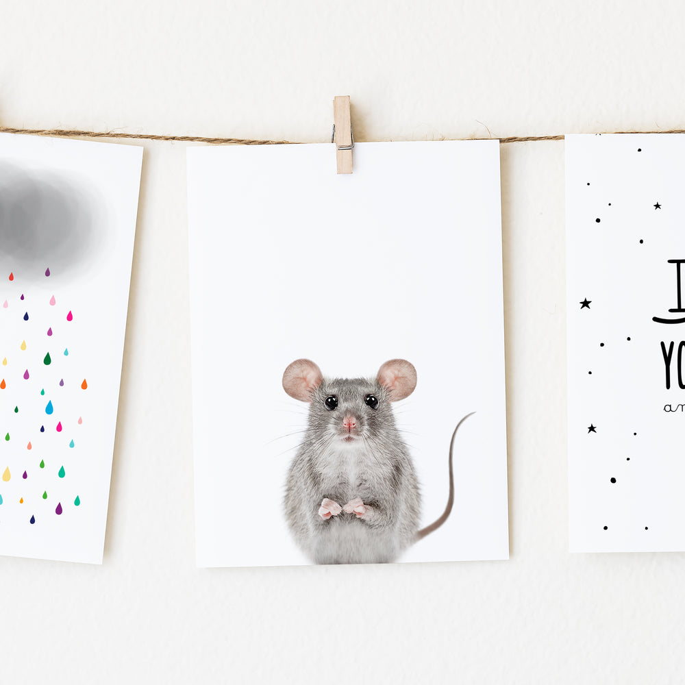 
                      
                        Baby Mouse Wall Art Print
                      
                    