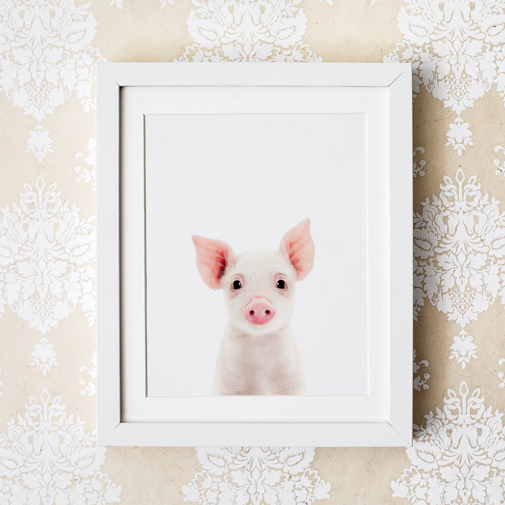 
                      
                        Baby Pig Wall Art Print
                      
                    