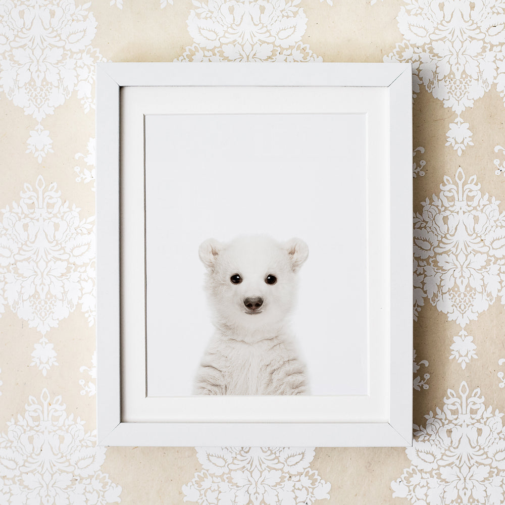 
                      
                        Baby Polar Bear Wall Art Print
                      
                    