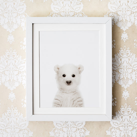 Baby Polar Bear Wall Art Print