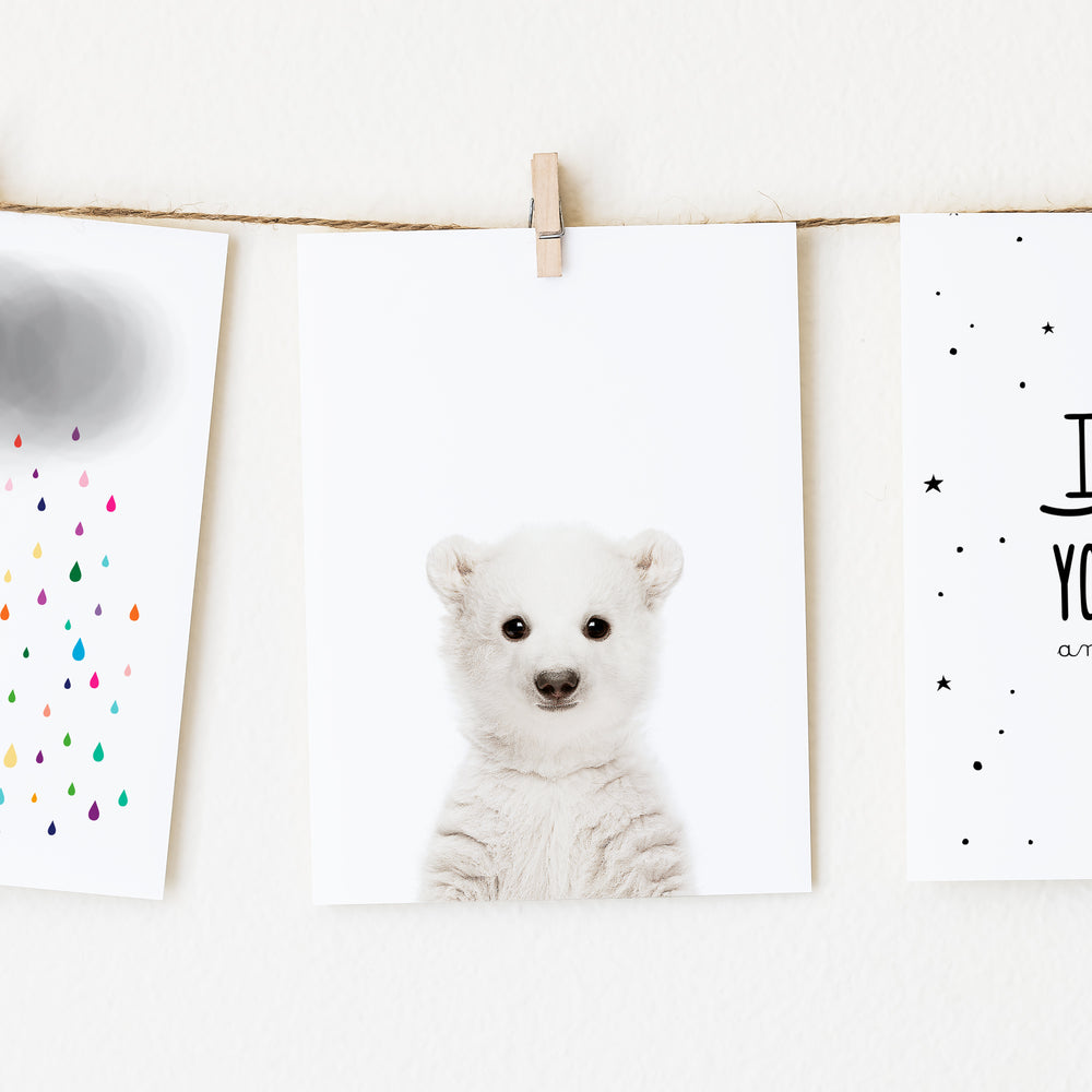 
                      
                        Baby Polar Bear Wall Art Print
                      
                    