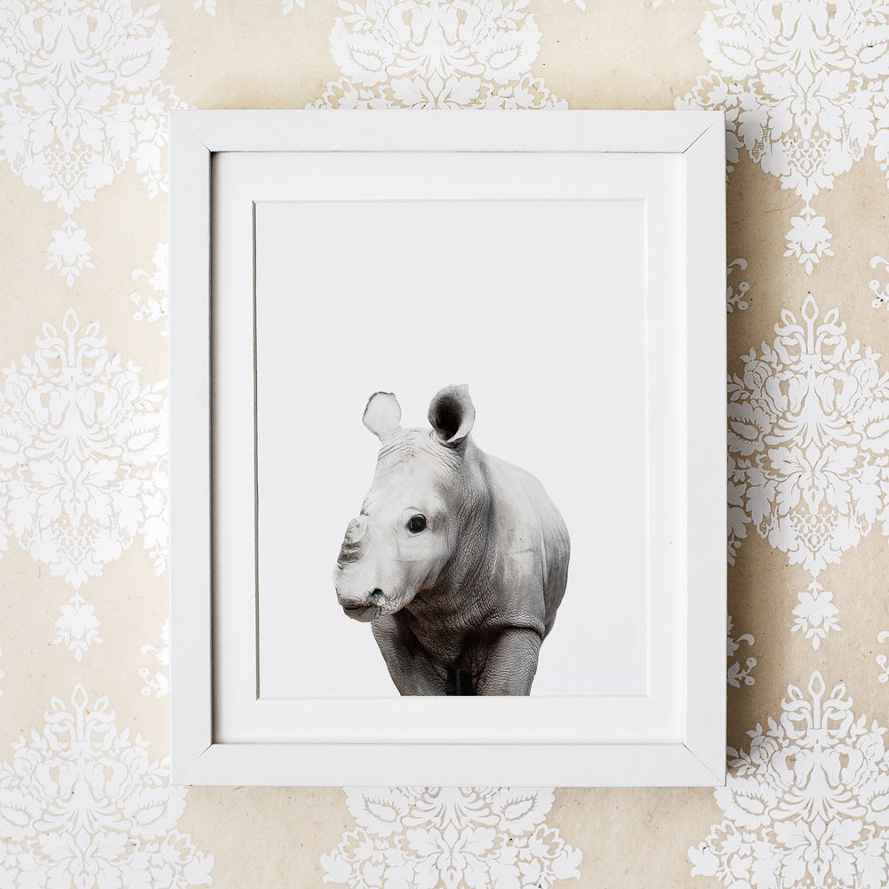 
                      
                        Baby Rhino Wall Art Print
                      
                    