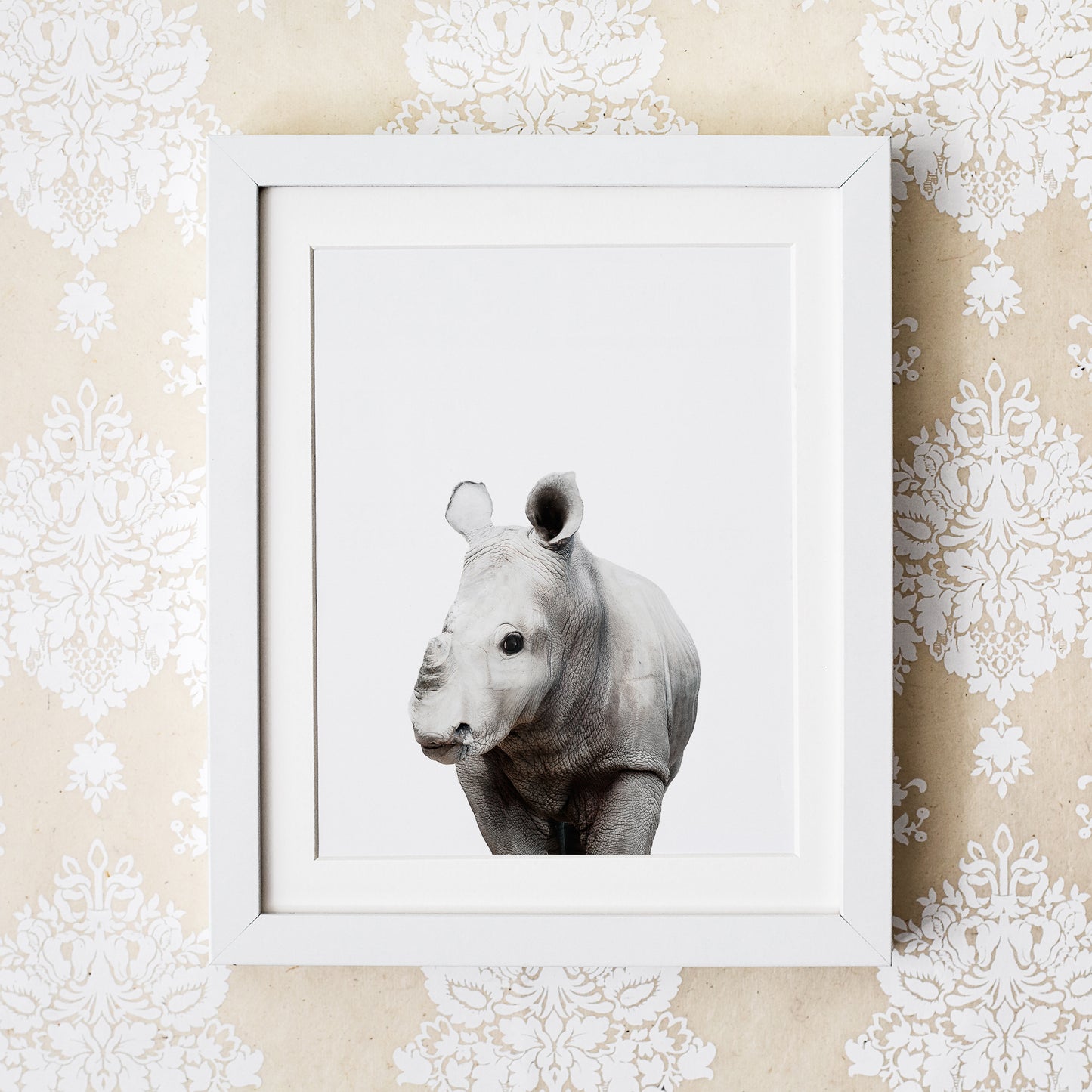 Baby Rhino Wall Art Print