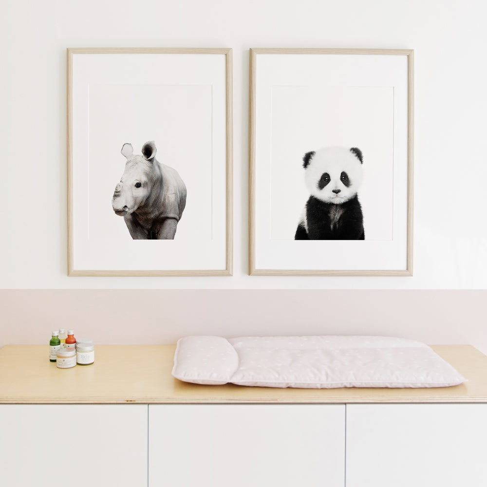 
                      
                        Baby Rhino Wall Art Print
                      
                    