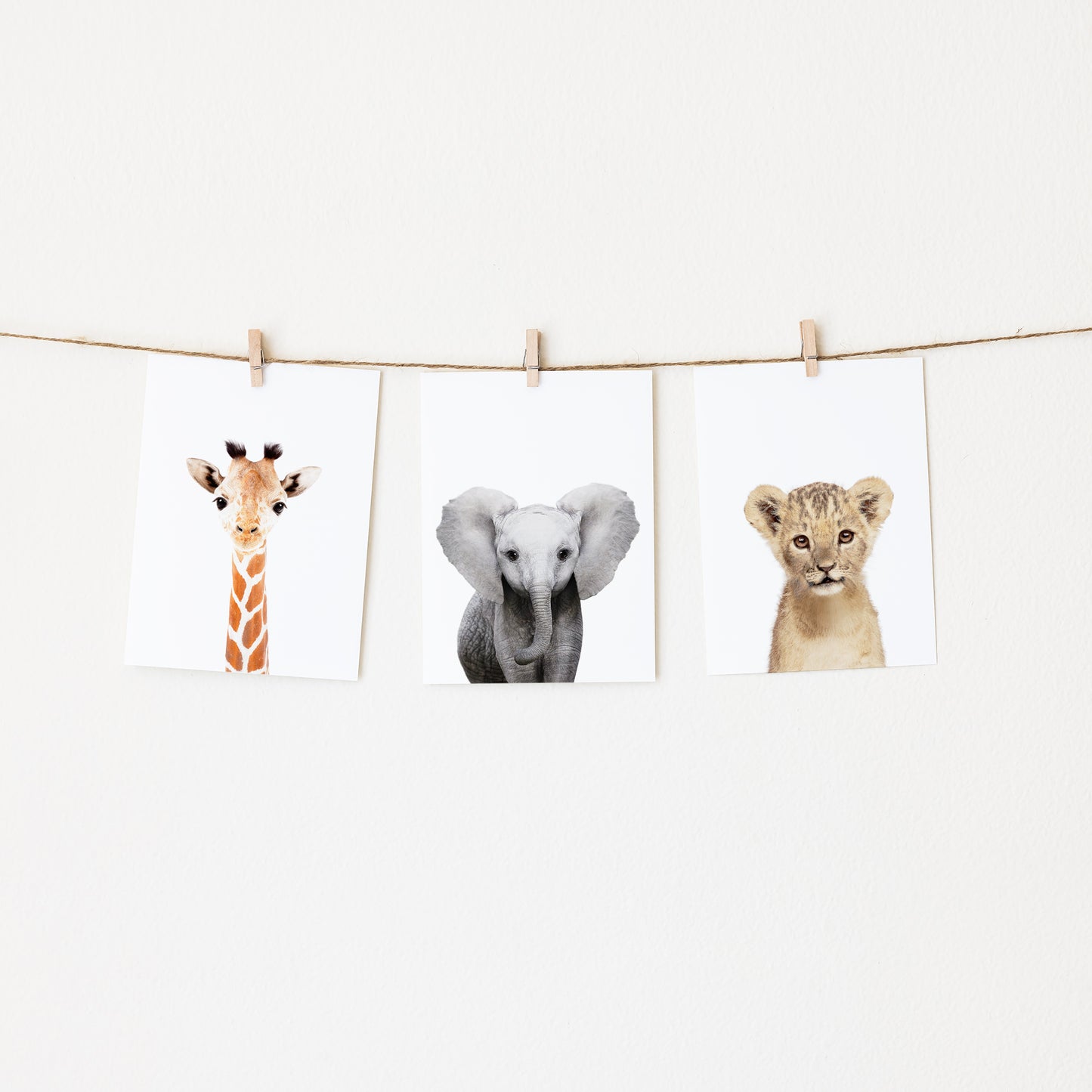 Safari Animals Set of 3 Nursery Wall Art Prints