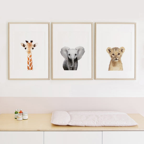Safari Animals Set of 3 Nursery Wall Art Prints