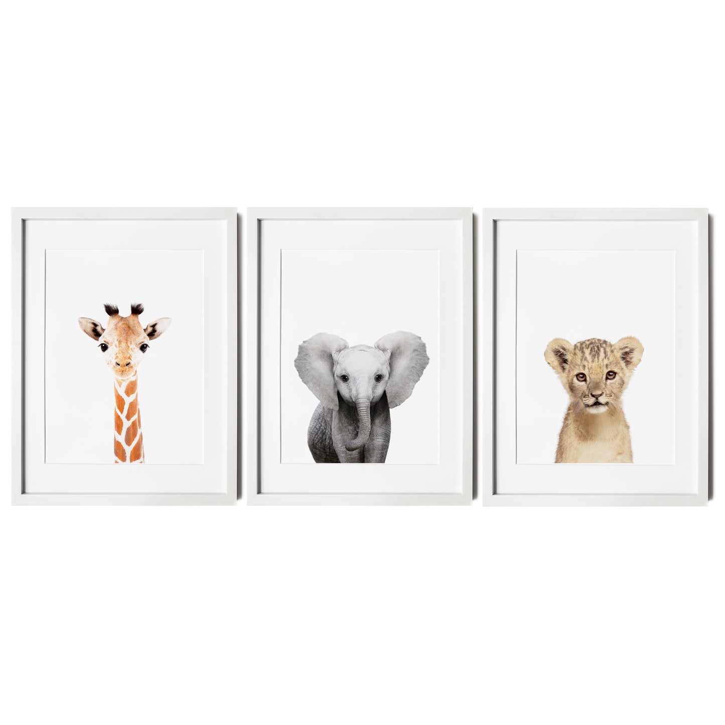 Safari Animals Set of 3 Nursery Art Prints
