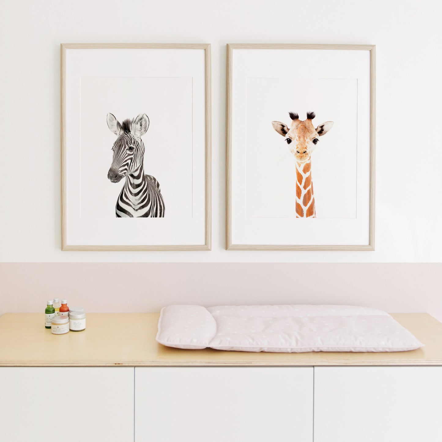 Baby Zebra Wall Art Print