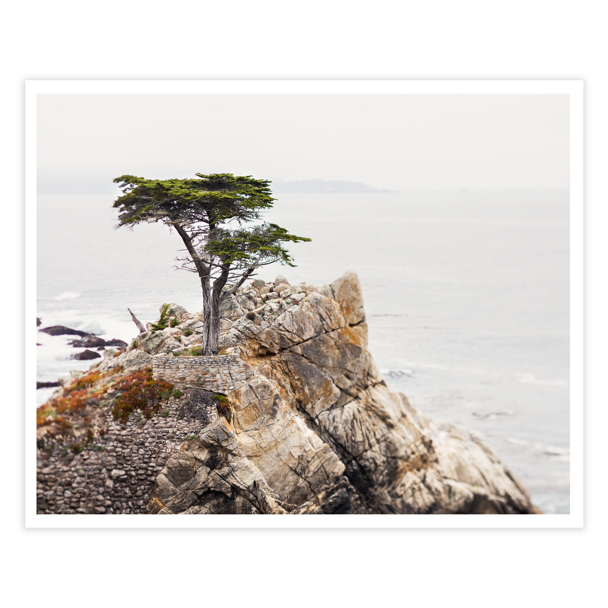 Lone Cypress at Pebble Beach Photography, Housewarming Gift, Ocean Wall art, Travel Decor, Beachhouse 2024 Gift, Large Beach Art