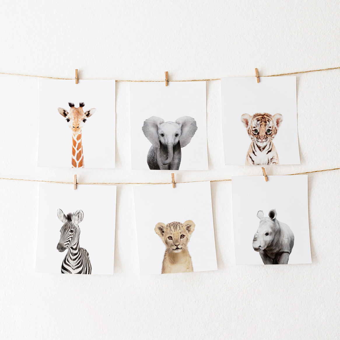 Safari Nursery Art Prints Set of 6