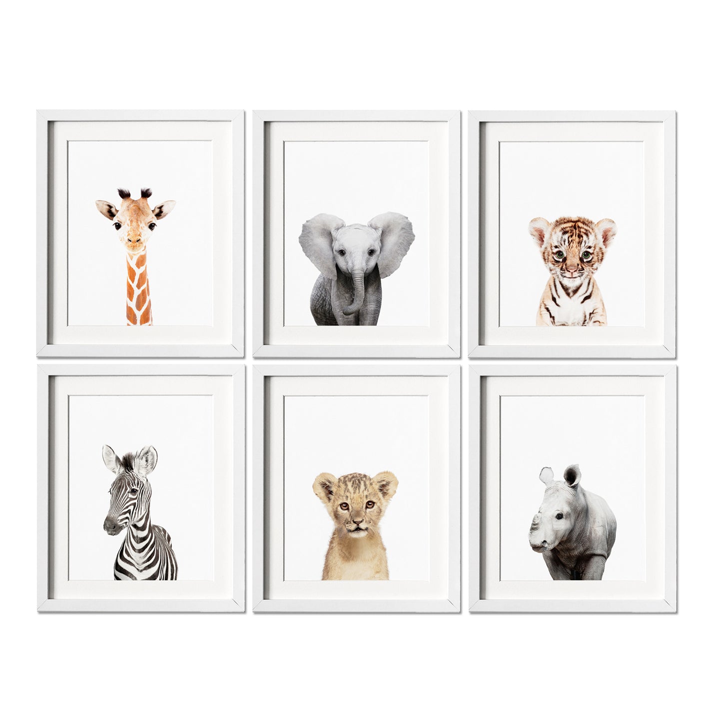 Safari Nursery Art Prints Set of 6