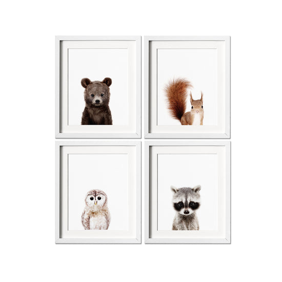 Woodland Animal Prints Set of 4 Nursery Wall Art&nbsp;