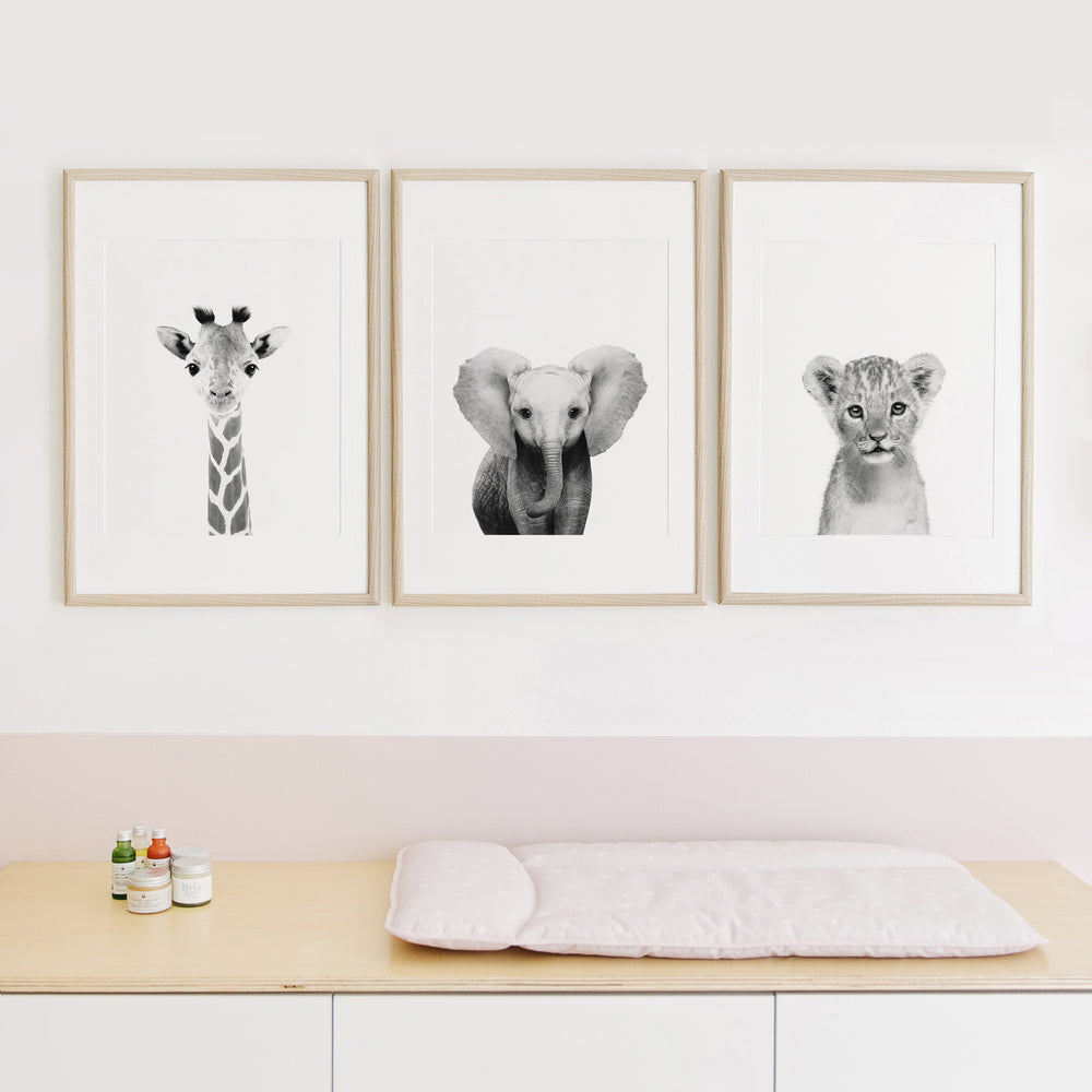 
                      
                        Black and White Safari Animals Set of 3 Nursery Wall Art Prints
                      
                    