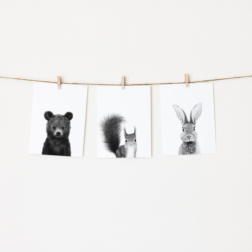 
                      
                        Black and White Woodland Animals Set of 3 Nursery Wall Art Prints
                      
                    