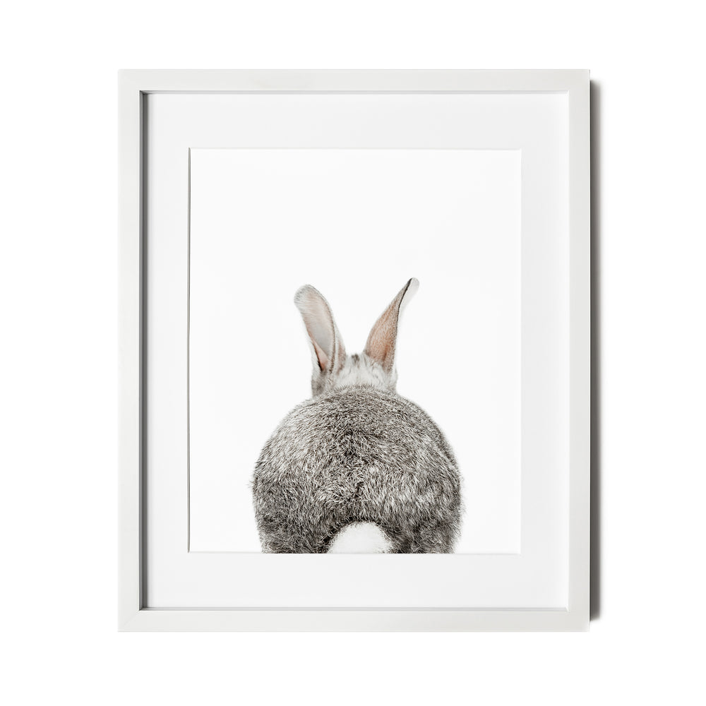 Baby Bunny Tail Wall Art