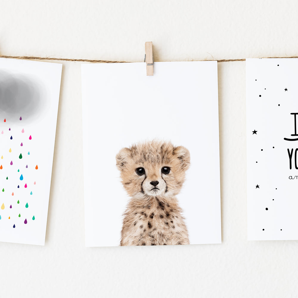 
                      
                        Baby Cheetah Wall Art Print
                      
                    