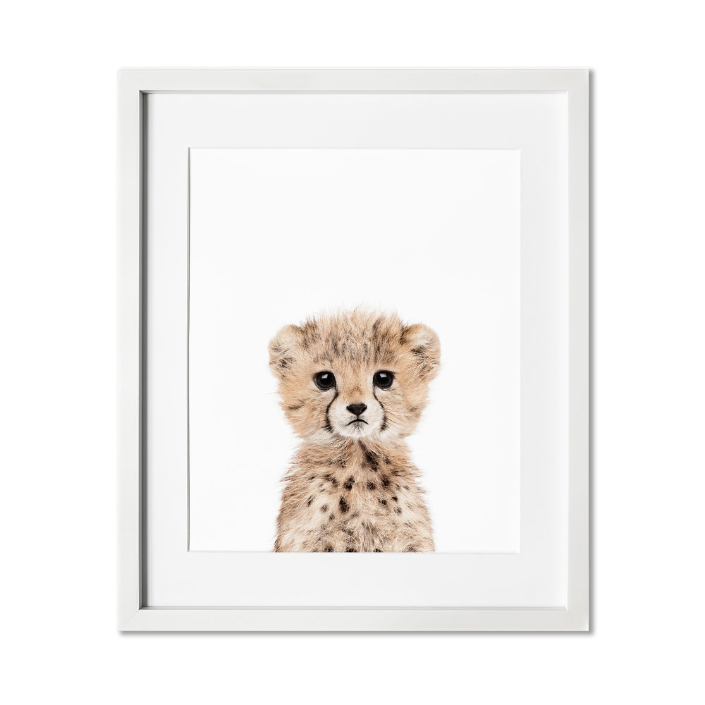 Baby Cheetah Wall Art Print