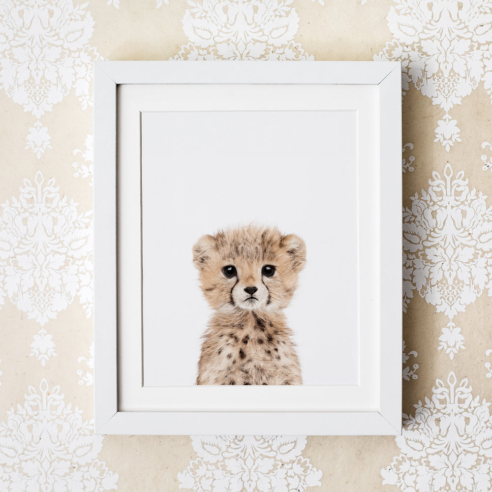 
                      
                        Baby Cheetah Wall Art Print
                      
                    