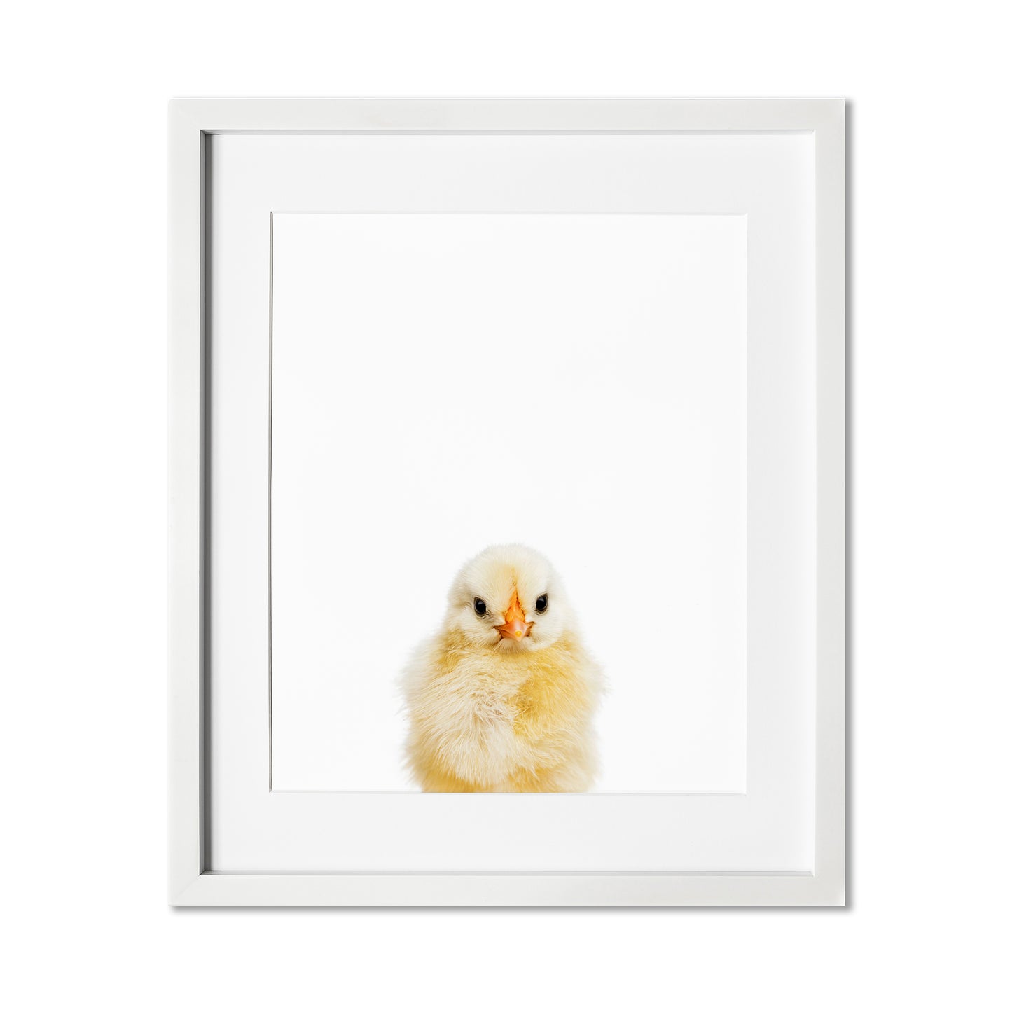 Baby Chick Wall Art Print