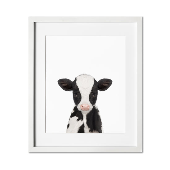 Baby Cow Wall Art Print