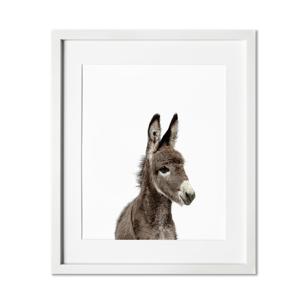 
                      
                        Baby Donkey Wall Art Print
                      
                    