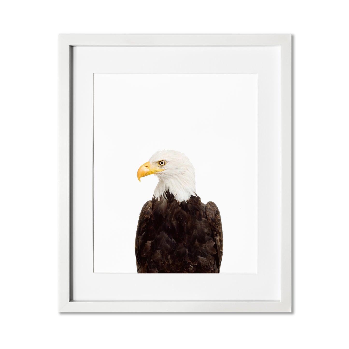 Eagle Wall Art