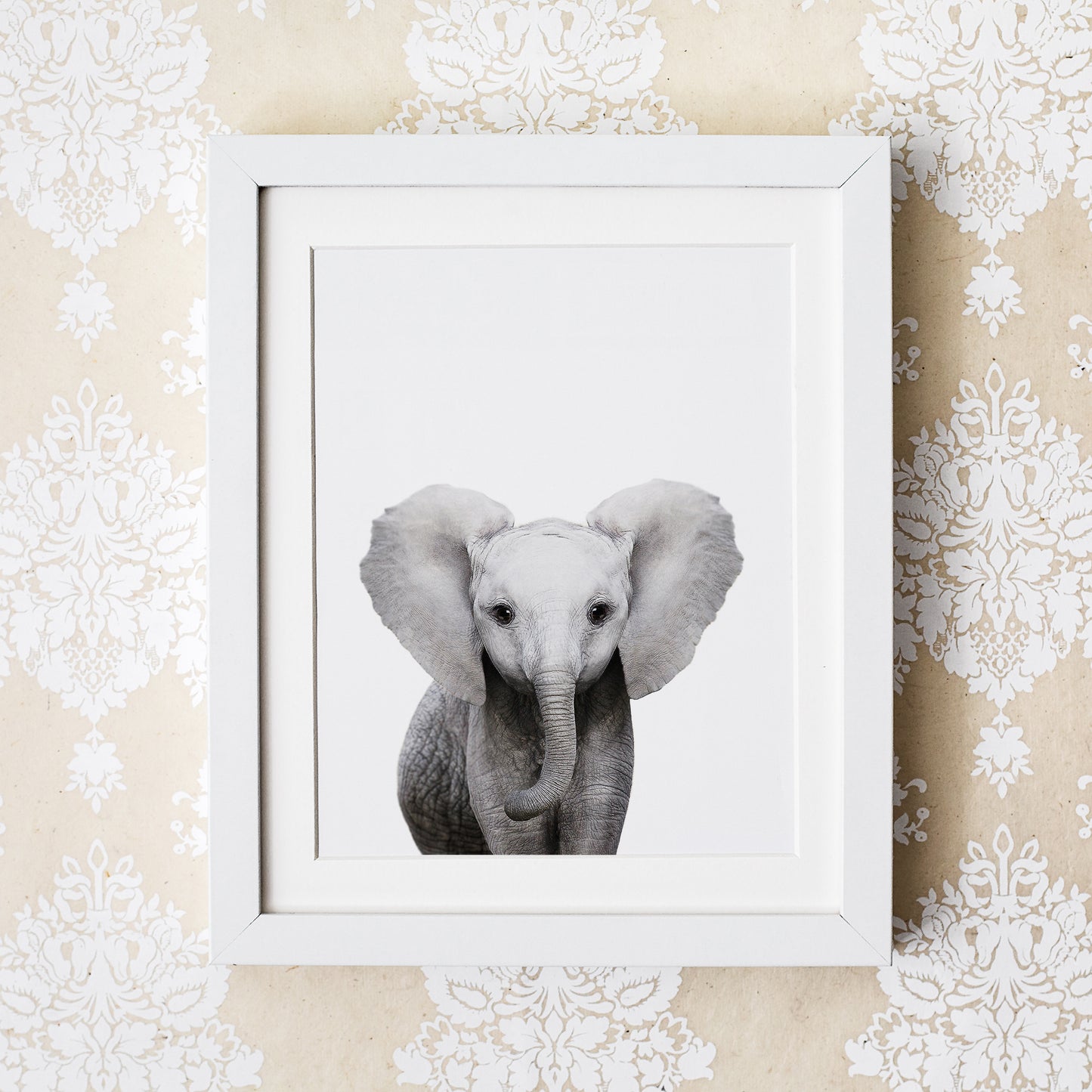 Baby Elephant Wall Art Print
