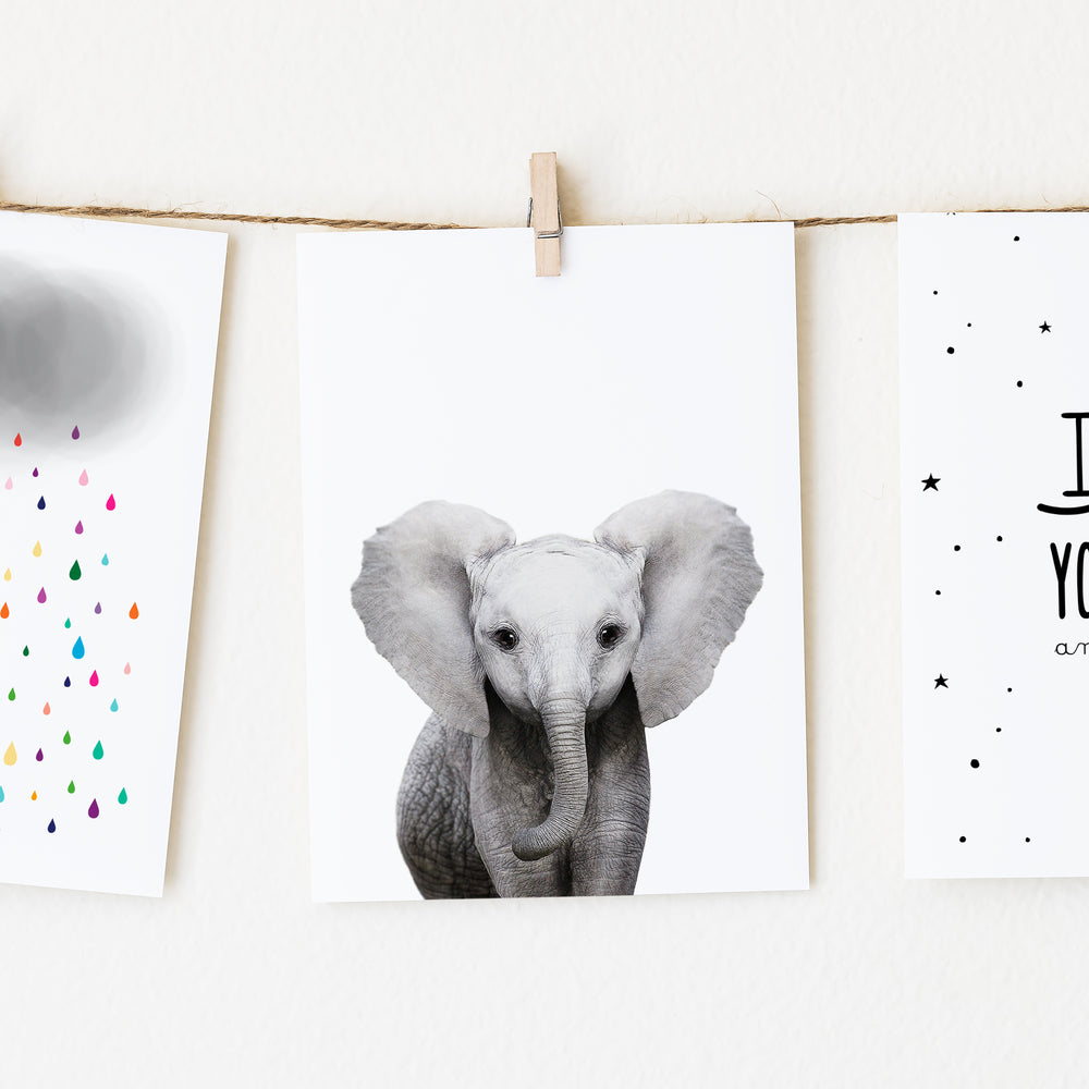 
                      
                        Baby Elephant Wall Art Print
                      
                    