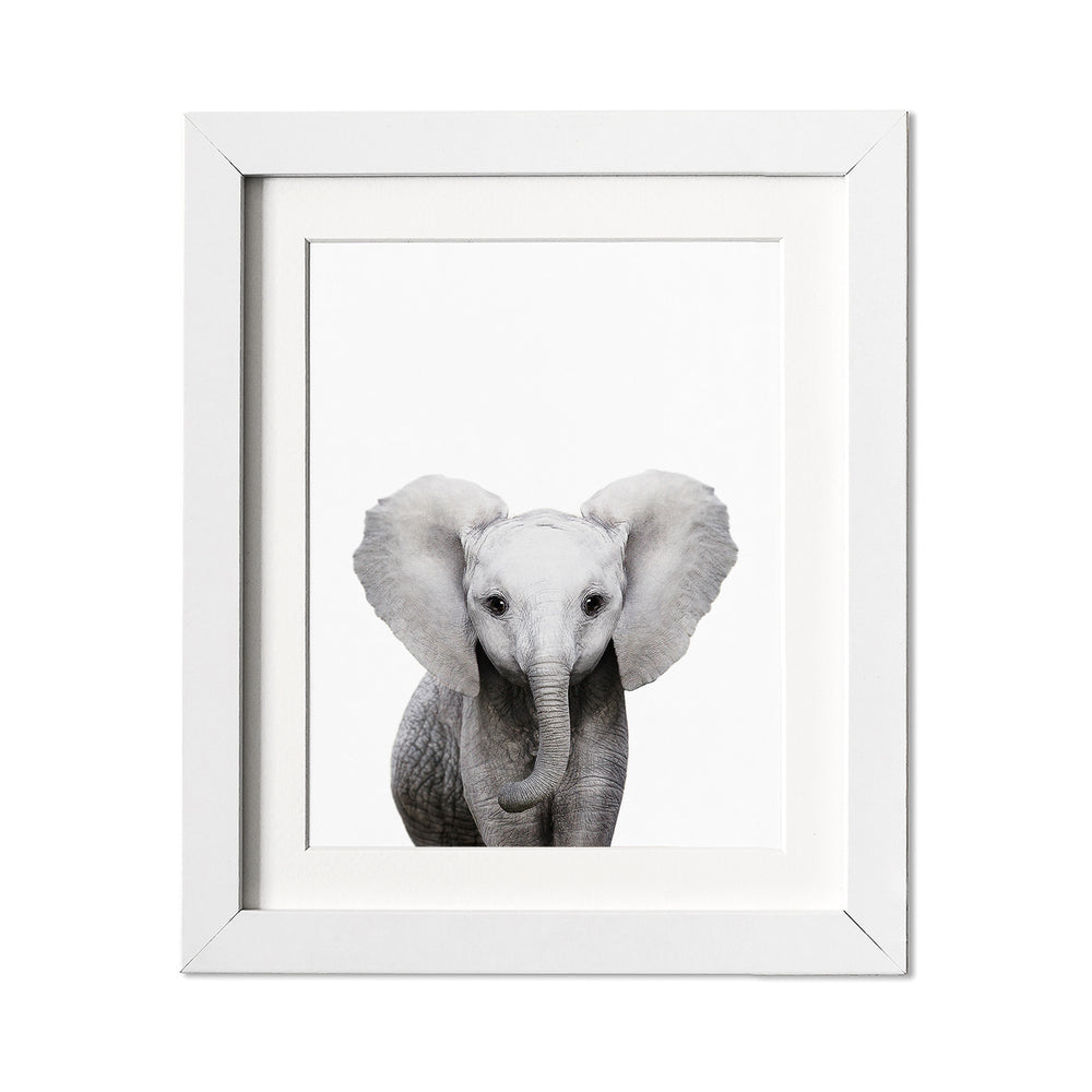 
                      
                        Baby Elephant Wall Art Print
                      
                    