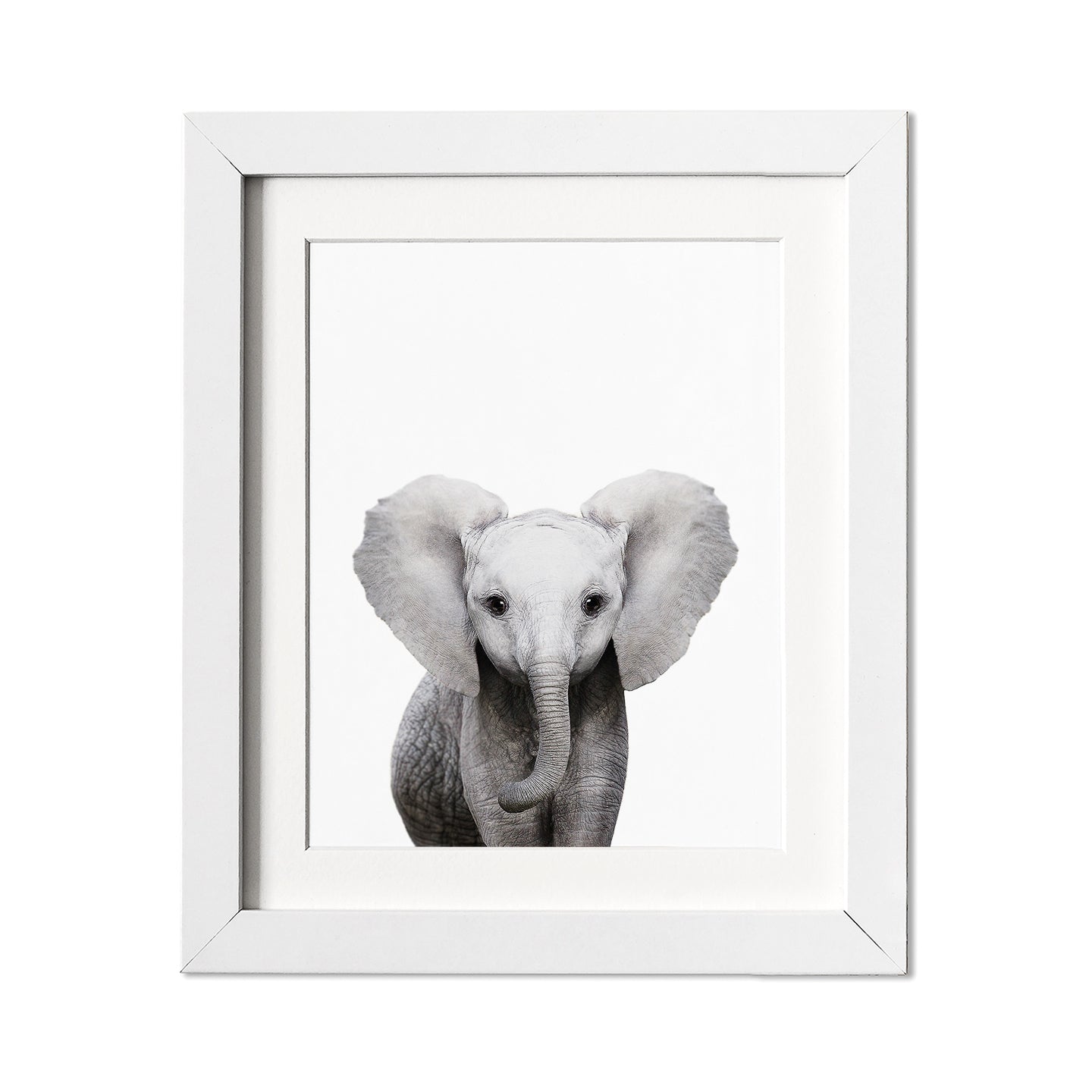 Baby Elephant Wall Art Print