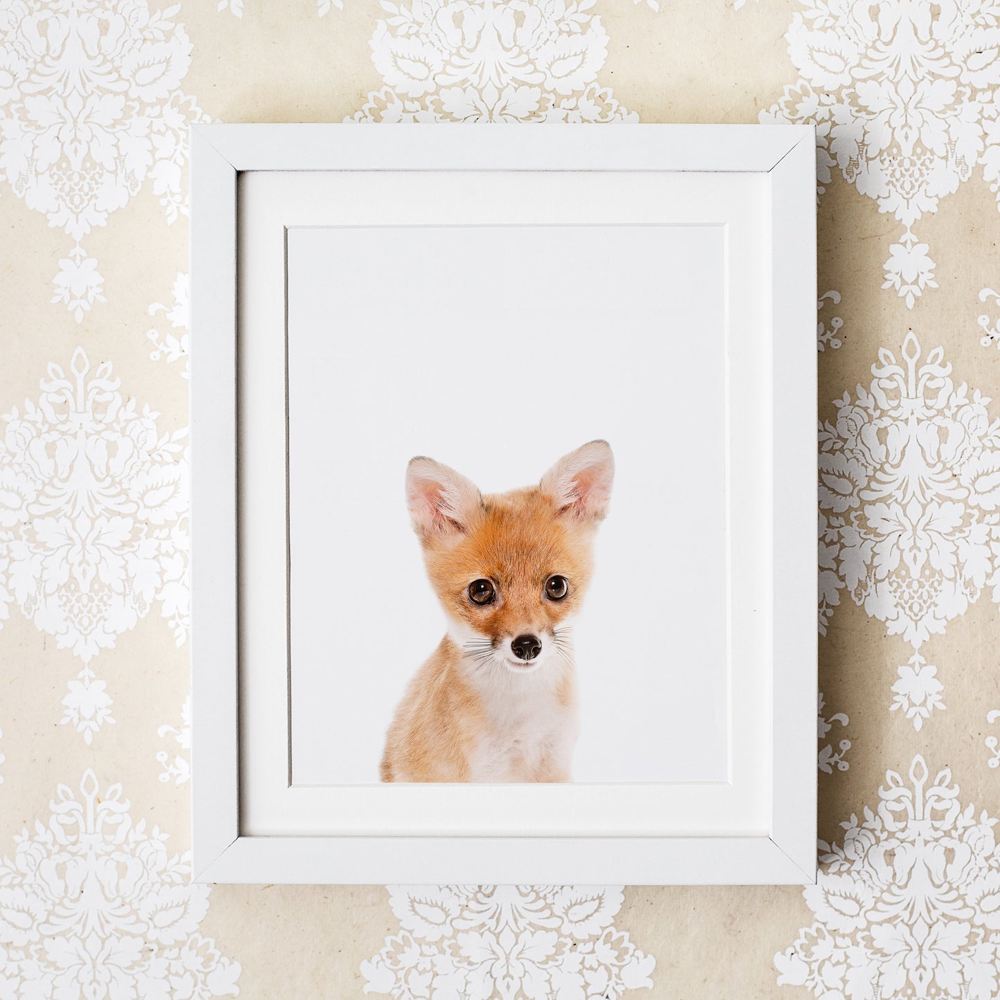 Baby Fox Print