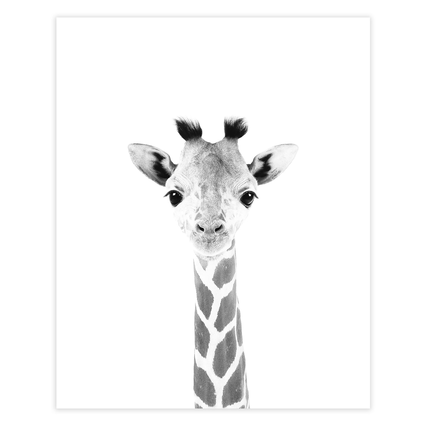 Load image into Gallery viewer, baby giraffe black and white nursery decor 
