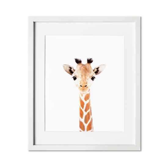 Baby Giraffe Wall Art Print