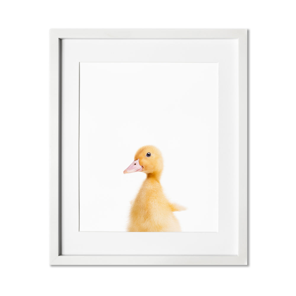 Baby Goose Wall Art Print