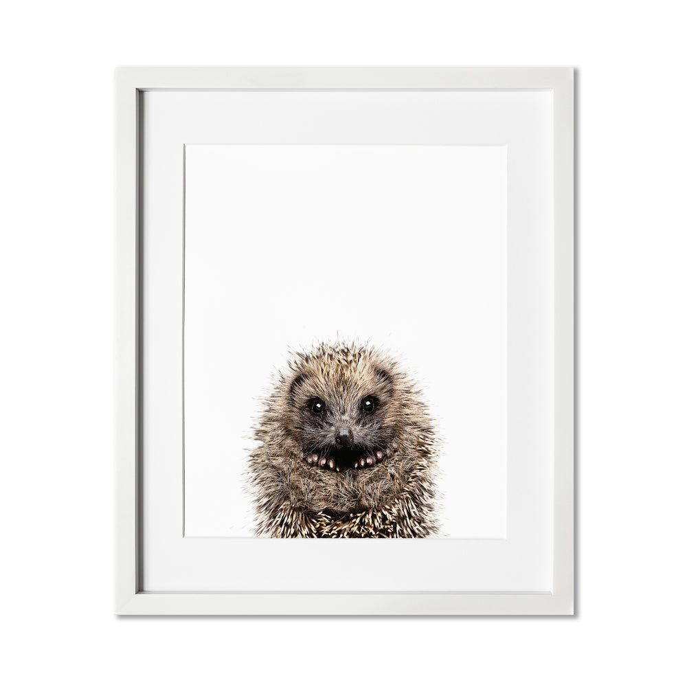 
                      
                        framed Baby Hedgehog Nursery Wall Art Print in a white frame
                      
                    