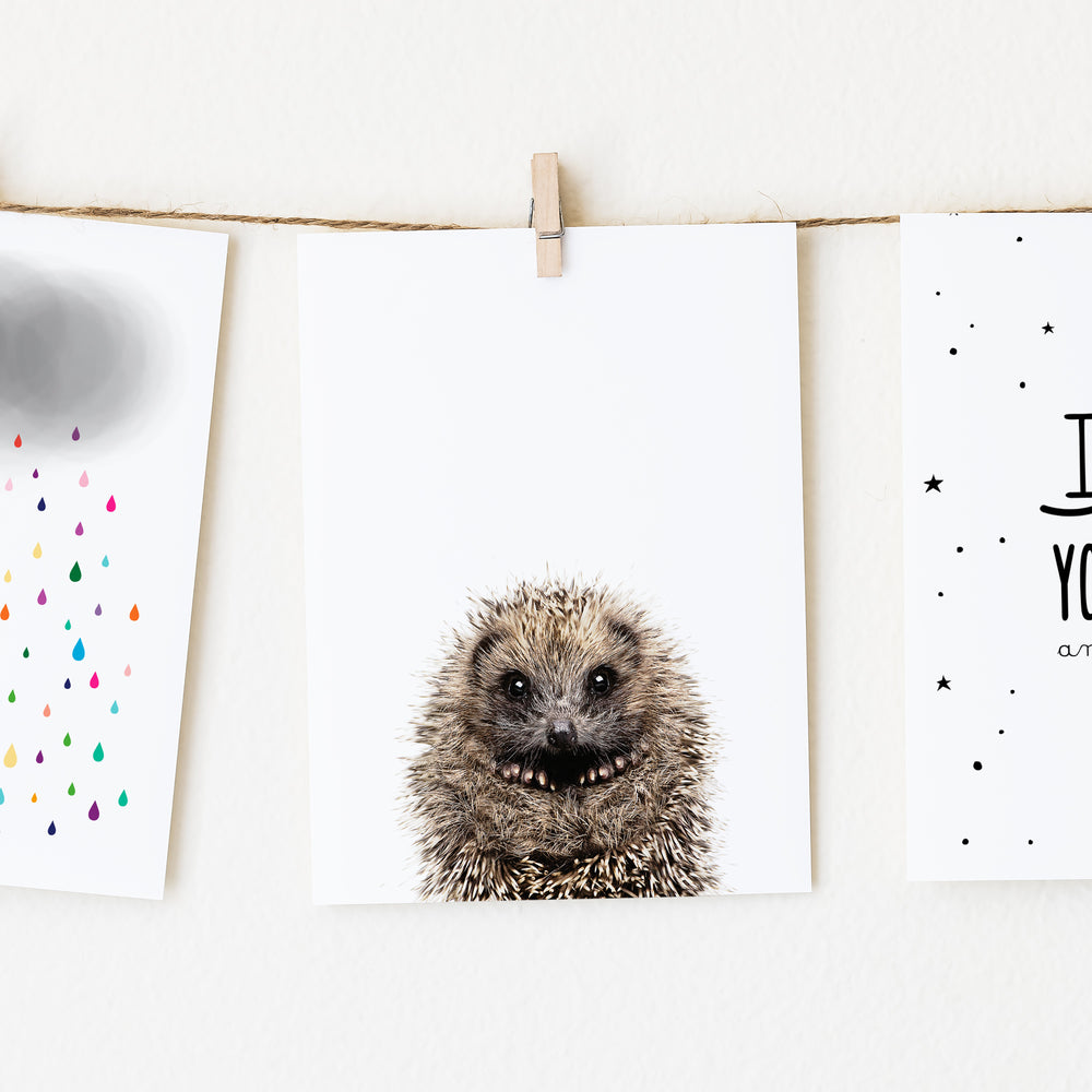 
                      
                         Baby Hedgehog Nursery Wall Art Print
                      
                    