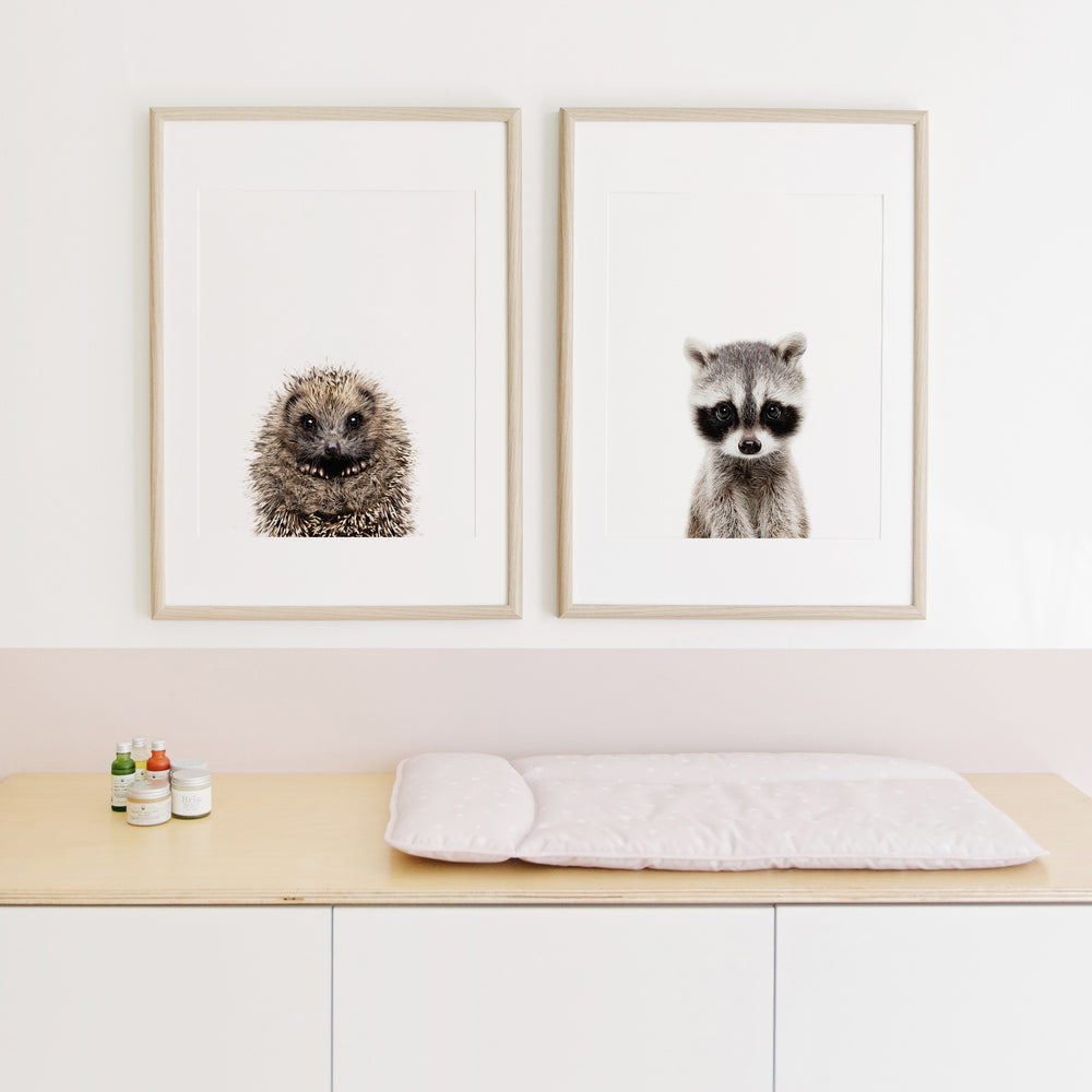 
                      
                        Baby Hedgehog Nursery Wall Art Print
                      
                    