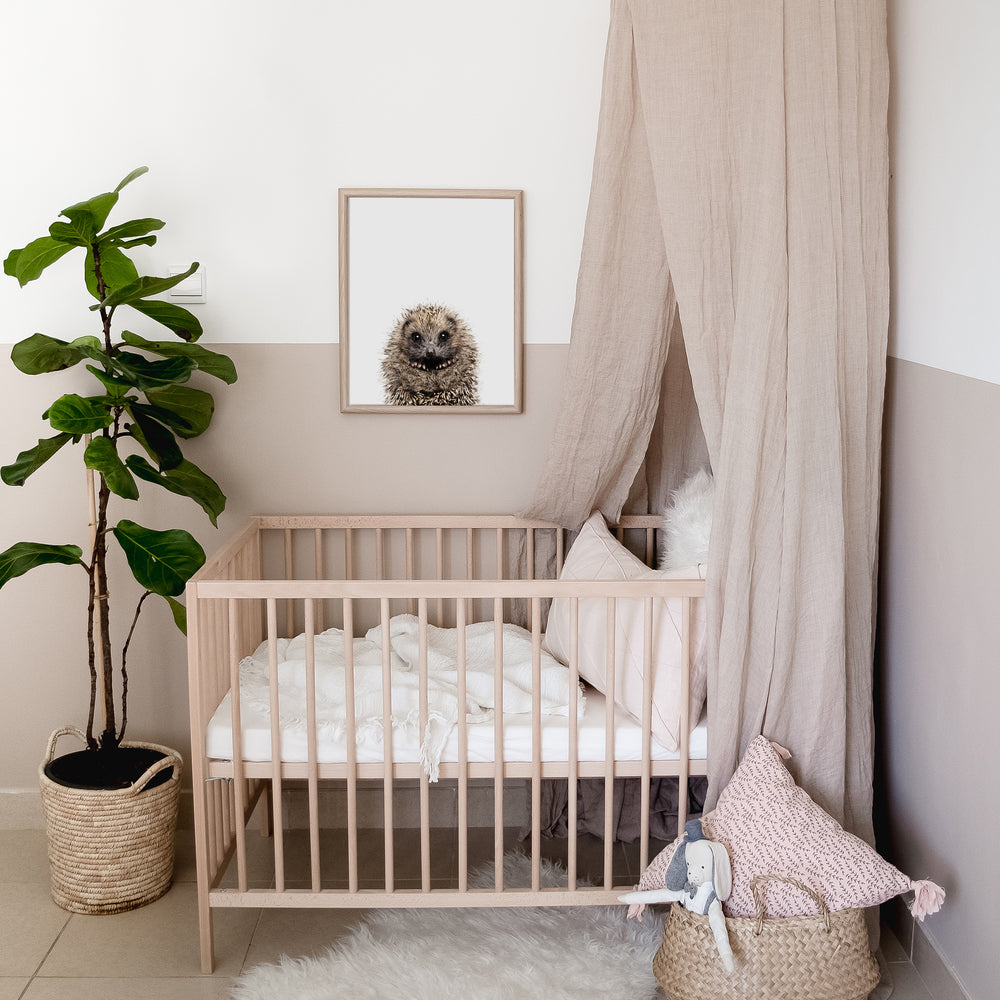 Hedgehog art print framed above a crib