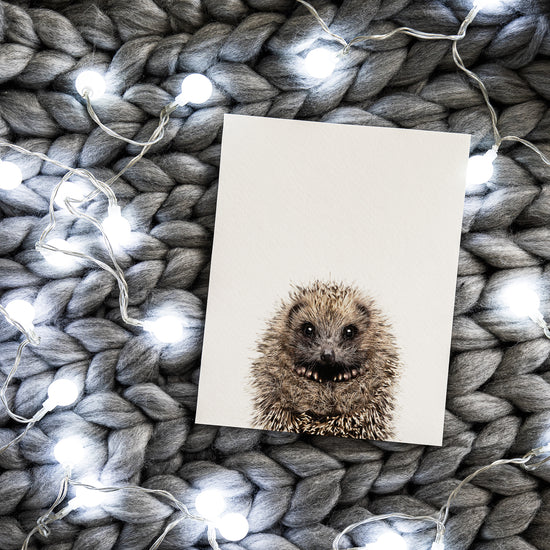 Baby Hedgehog Print
