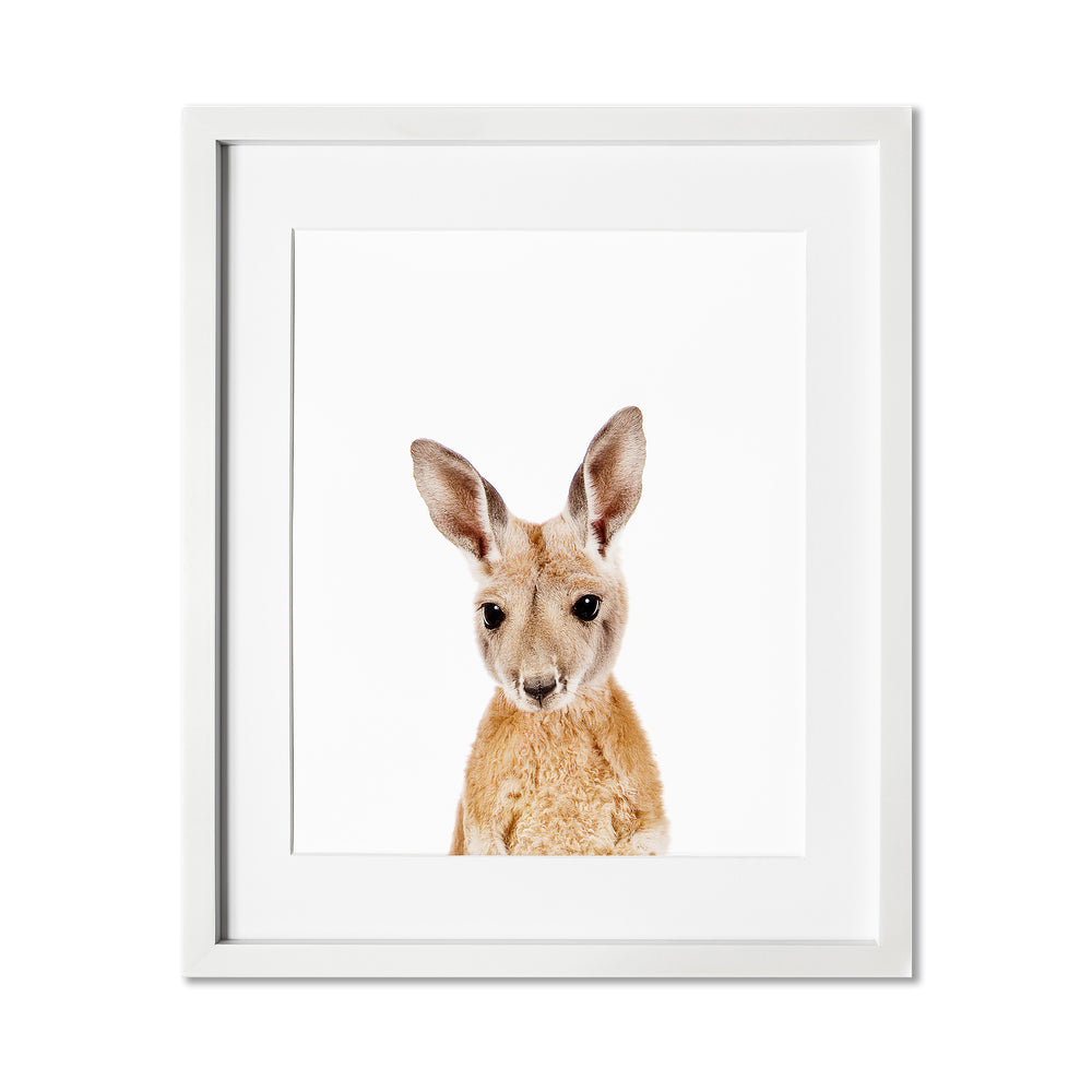 Baby Kangaroo Wall Art Print