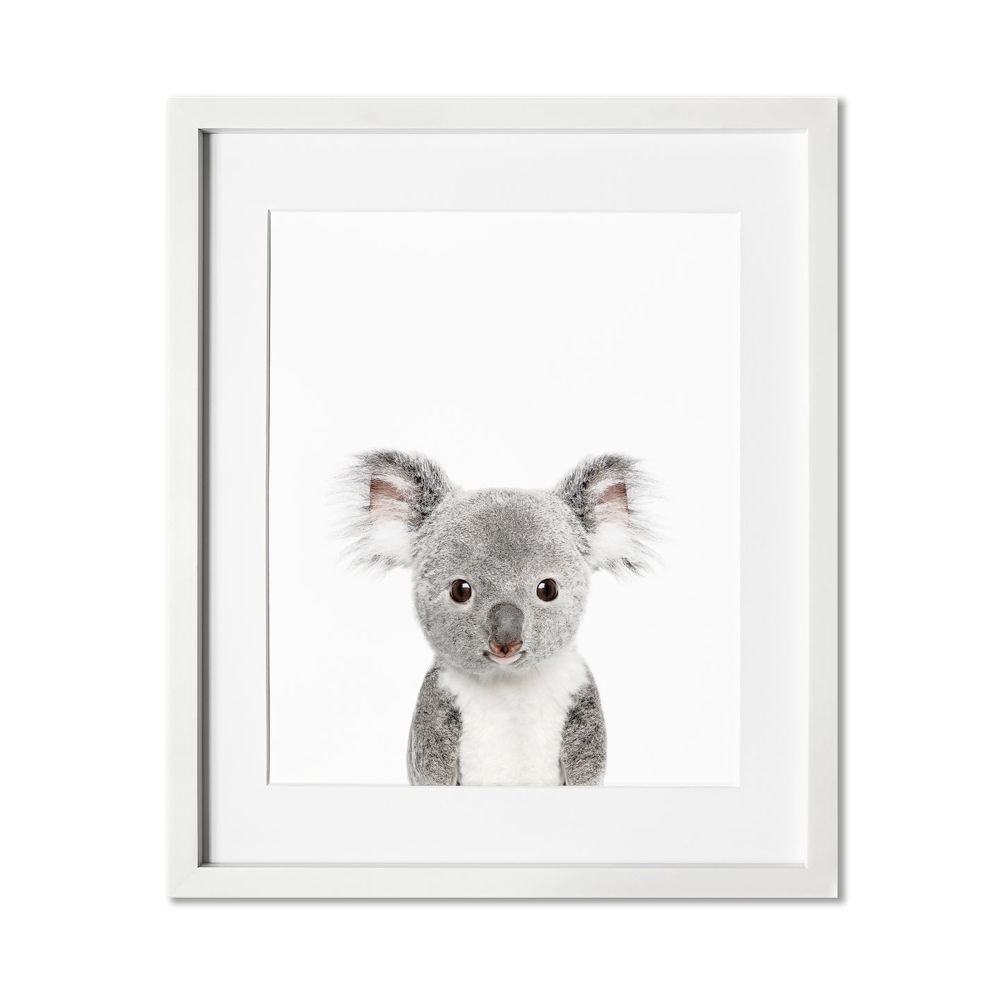 Baby Koala Wall Art Print