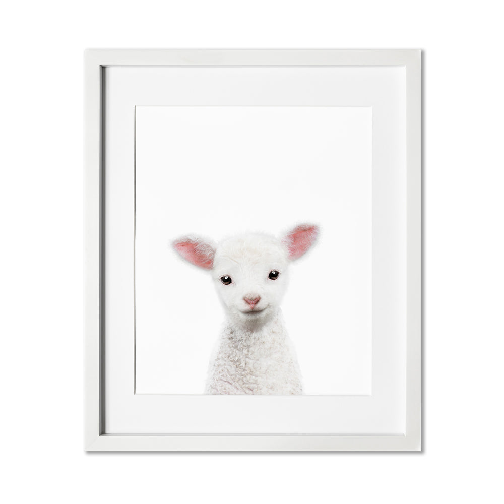 Baby Lamb Wall Art Print